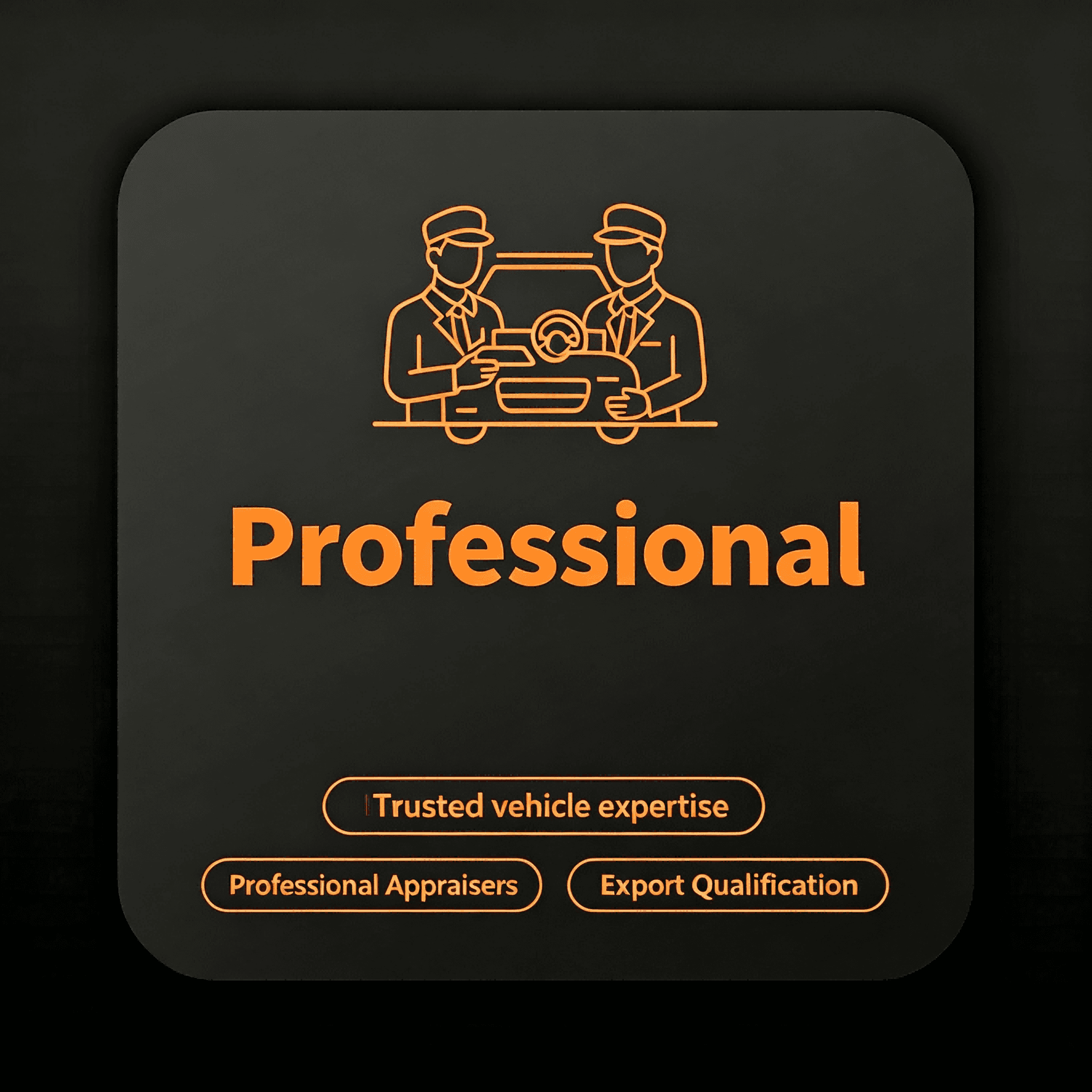 professional